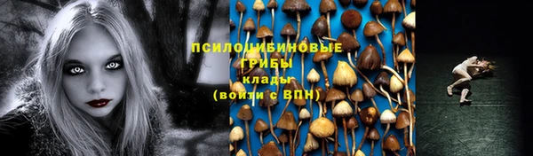 трава Баксан