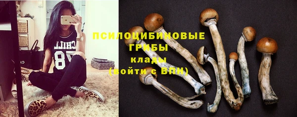 трава Баксан