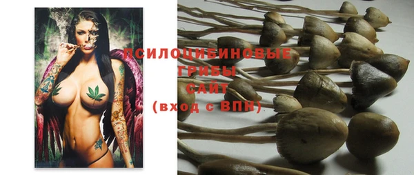 прущие грибы Балахна